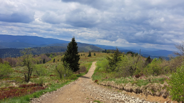 794b1182-d8a2-44be-88f1-285e4652133c